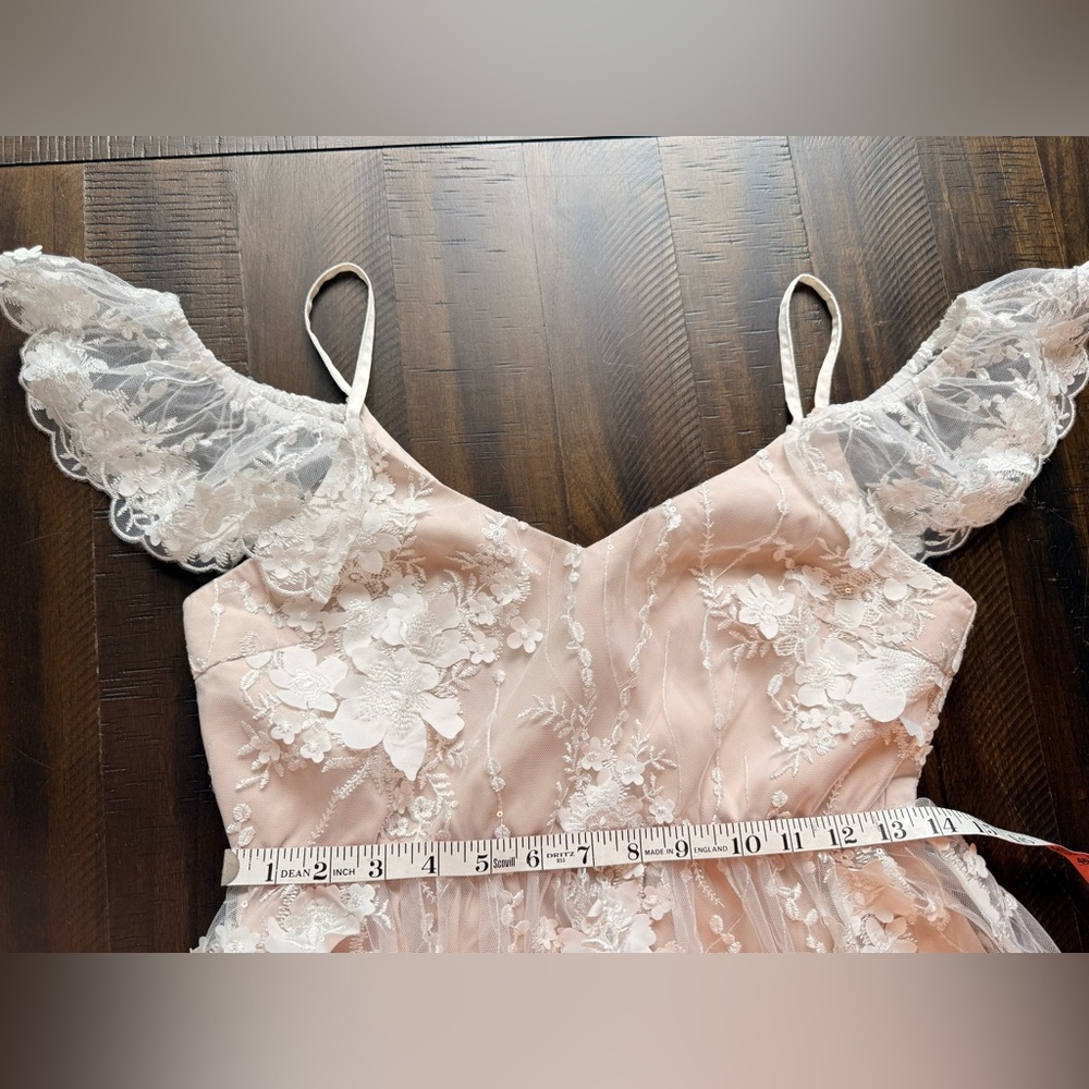 Pinkblush-Minuet‎ Ivory Floral Embroidered Mesh Maternity Evening*dress - Picture 13 of 14